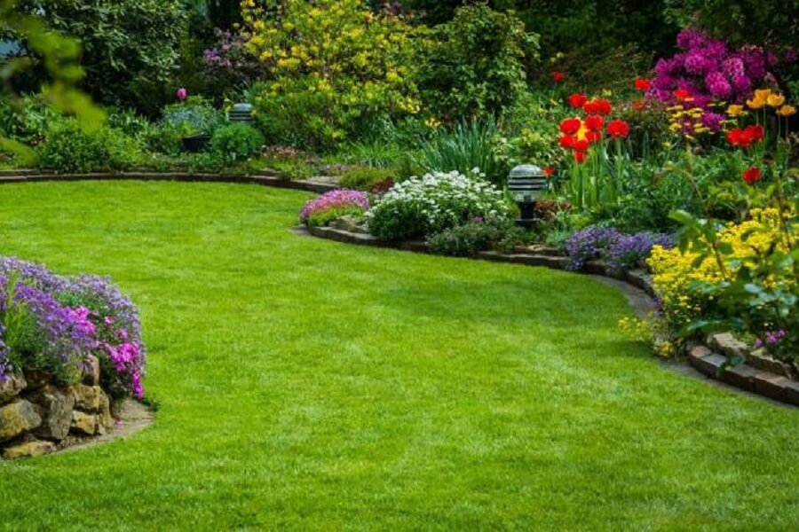 Landscaping-Services-Fort-Worth-TX-1024x578-1