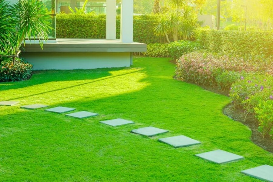 landscaping